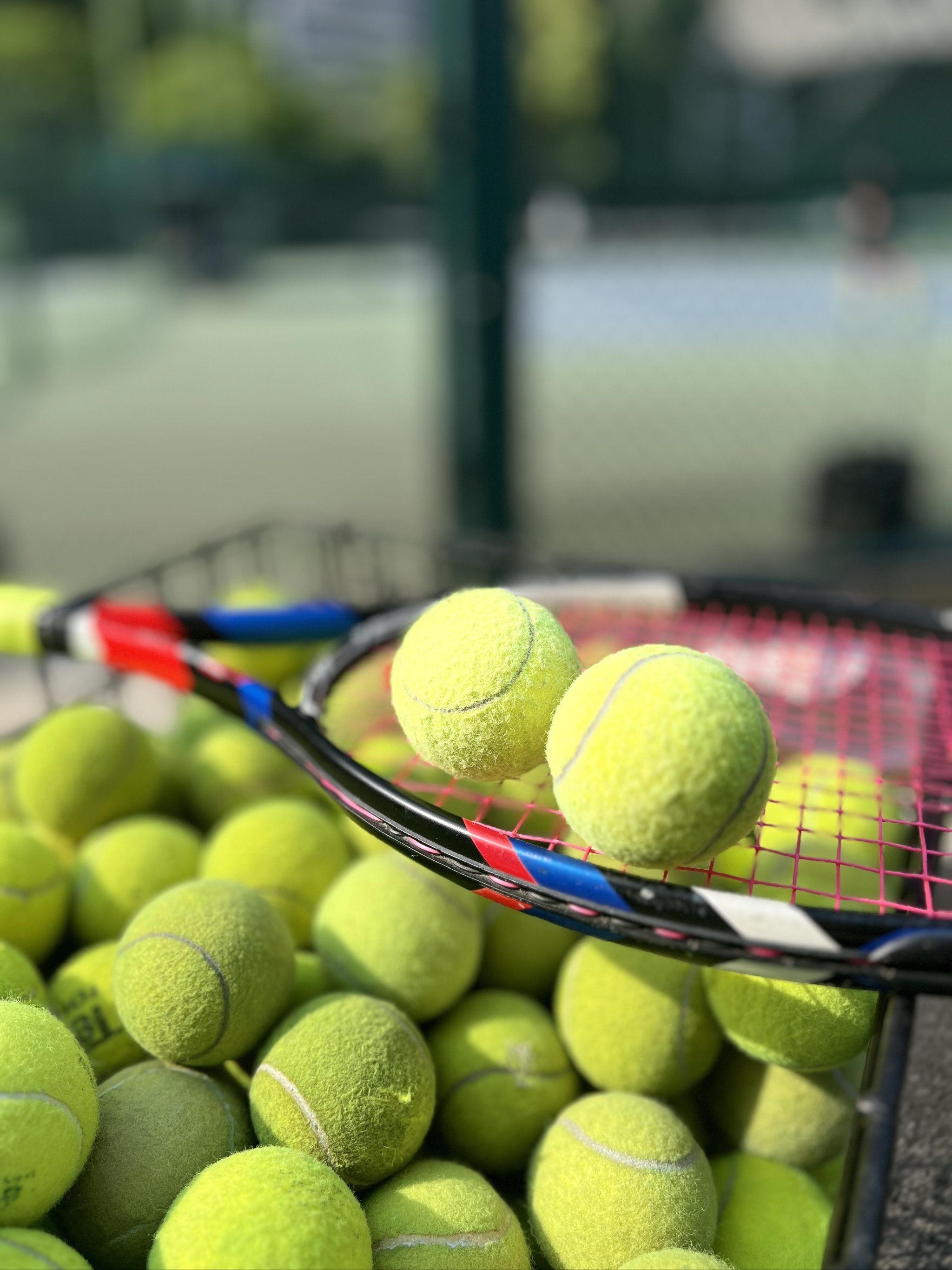 同时提升终 同时提升终